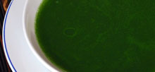 Watercress soup perfumed with freshmint