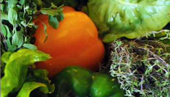 Des poivrons verts, orange, du thym, du basilic et dela salade verte provenant du jardin biologique