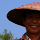 A worker of the Elephant in the gardens of organic vegetables at few kilometers from the centre of Luang Prabang