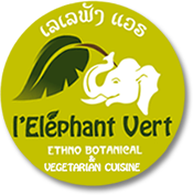 logo de l'elephant vert restaurant, restaurant vegetarien et vegetalien à luang prabang lao PDR